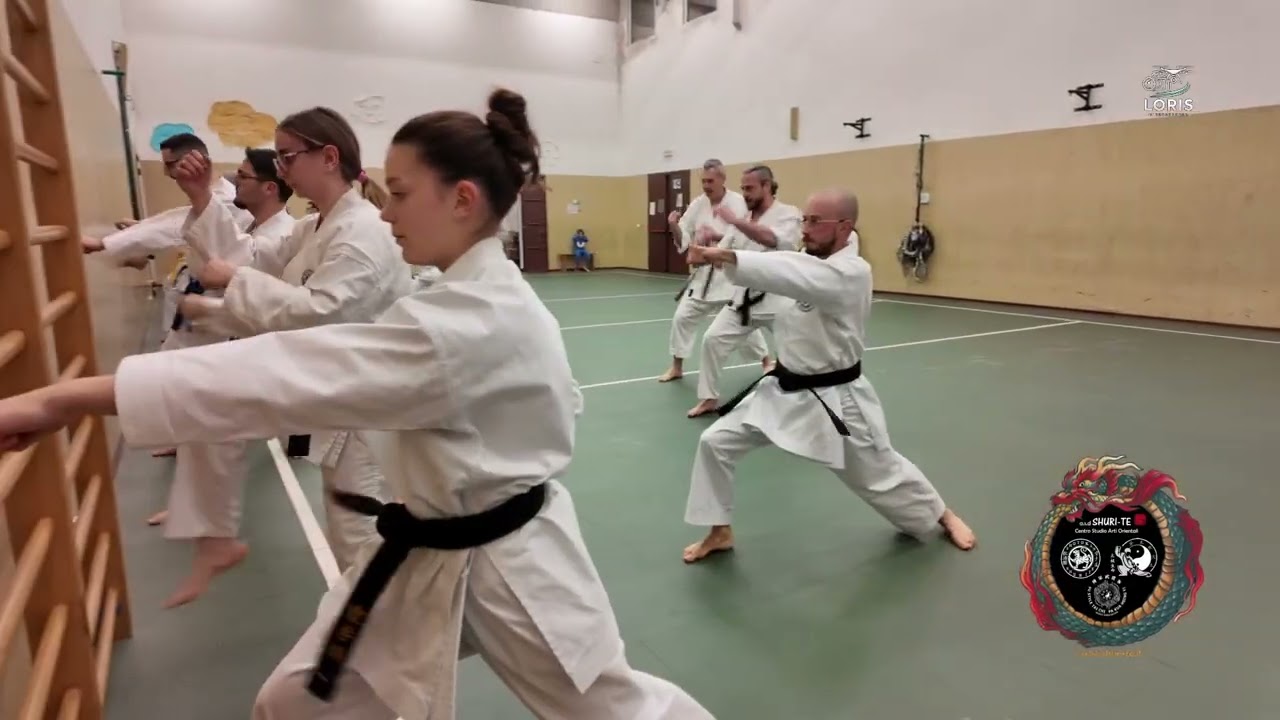 Karate Shotokan Terranegra Palestra Scuole Elementari..