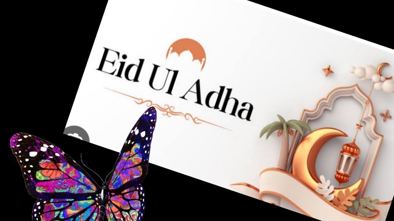 Eid ul Azha 2023 🐫🐄 | nehalicious
