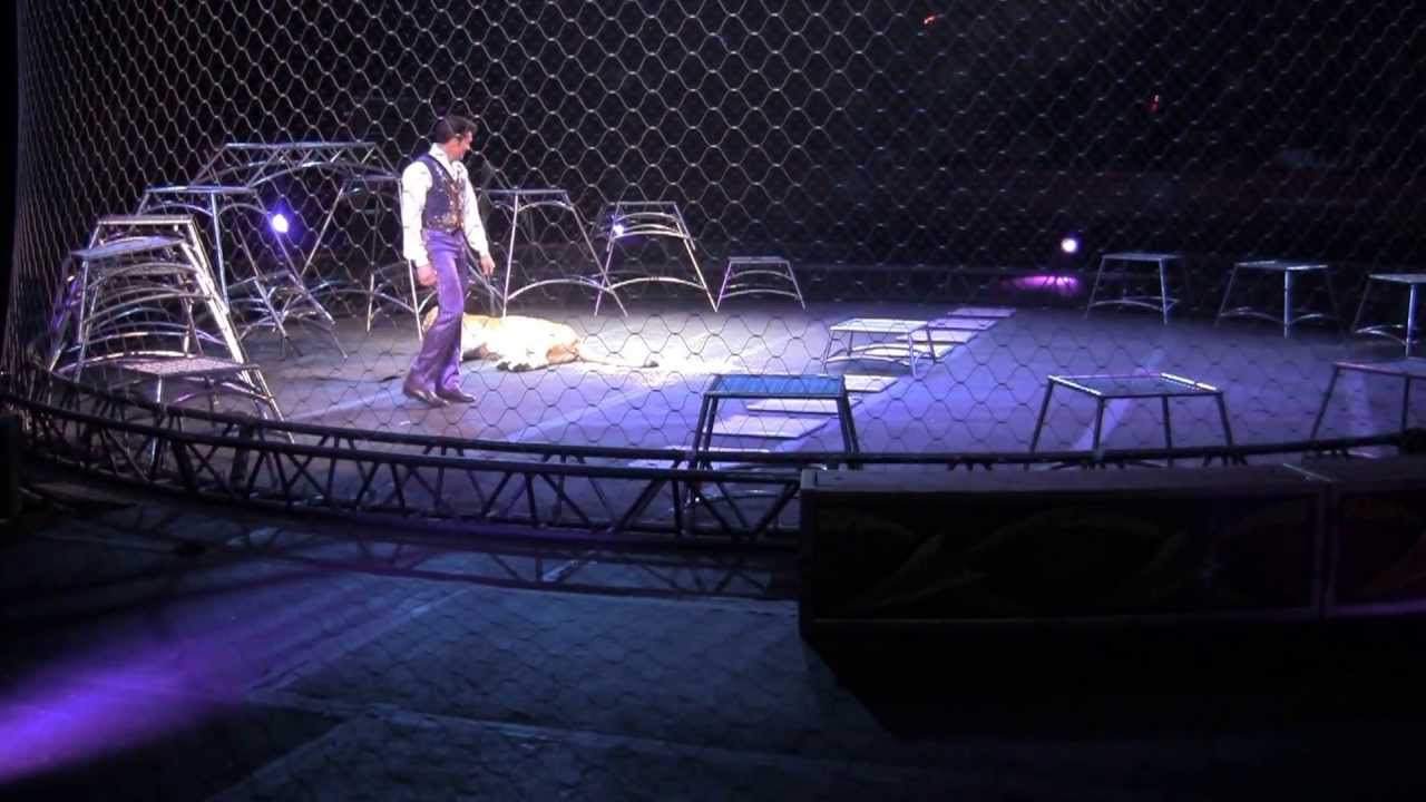 Lion and Tiger Tamer, Ringling Brothers and Barnum and Bailey Circusl