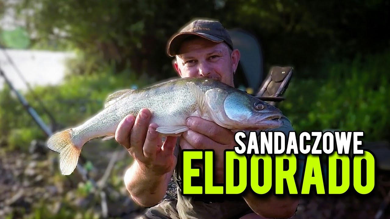Sposób na SANDACZE i wielkie WĘGORZE / Zestaw gruntowy na SANDACZA