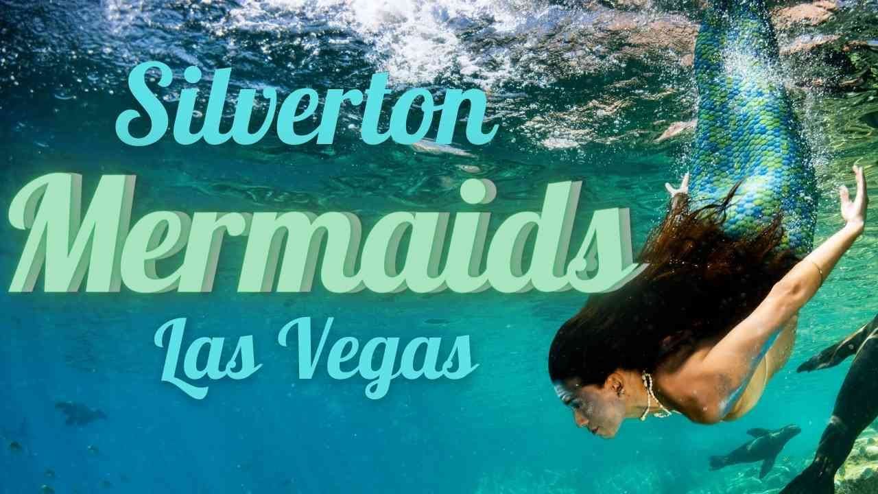 Silverton Mermaids. Live Mermaids Swim, Interact & Play at The Silverton Casino Aquarium Las Vegas.