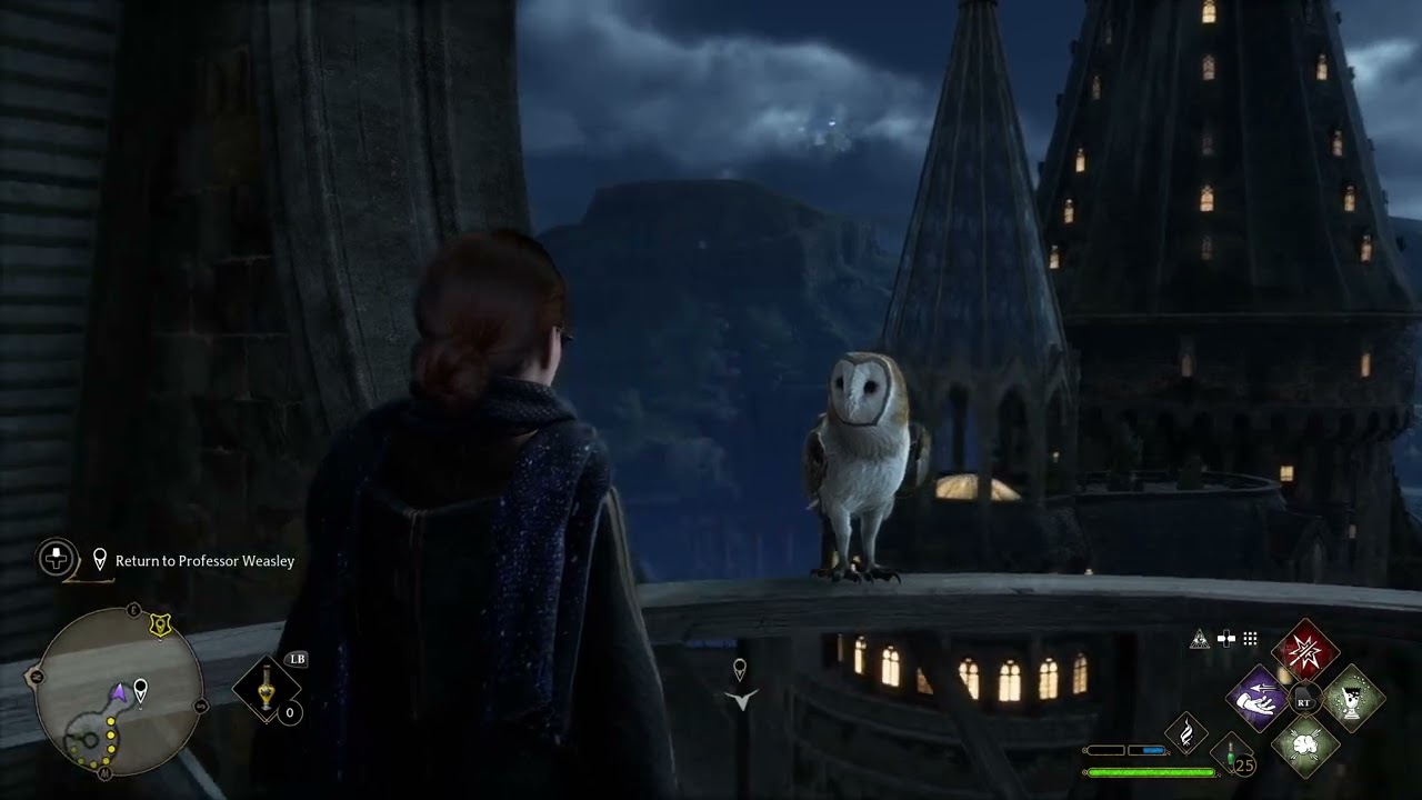Ravenclaw it´s my House
