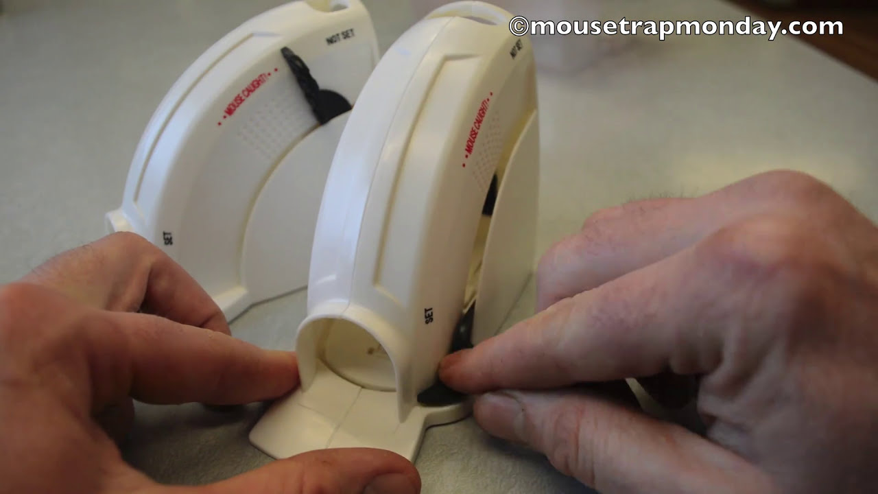 Tomcat Kill & Contain Mouse Trap In Action with motion cameras. Mouse Trap Monday.