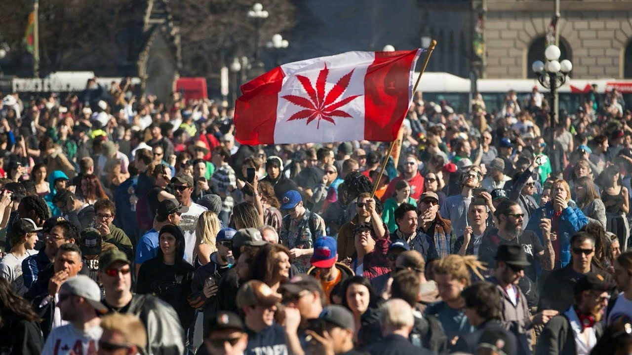 The Heat: Canada's decision to legalize marijuana Pt 1
