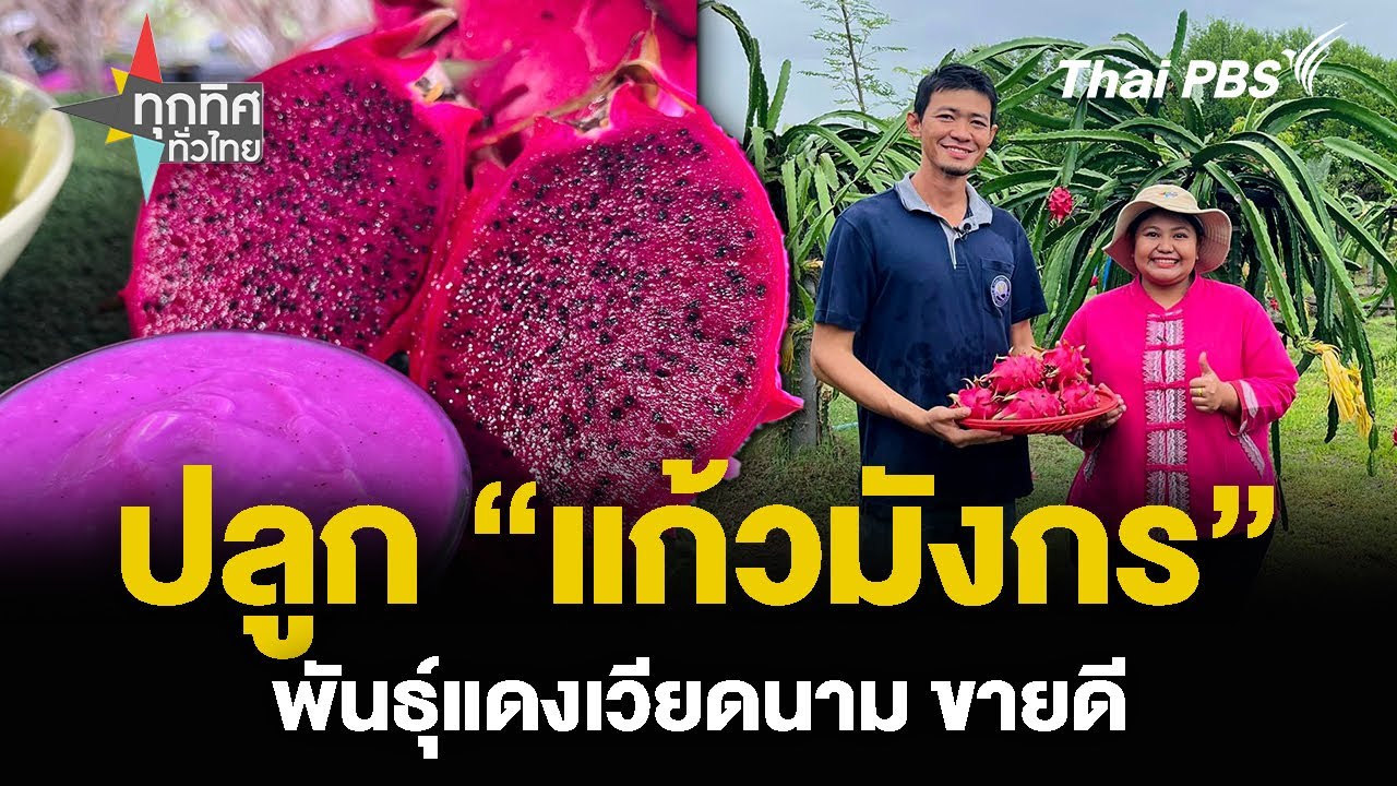 ปลูก “แก้วมังกร” พันธุ์แดงเวียดนาม ขายดี | ของดีทั่วไทย | 6 ส.ค. 67