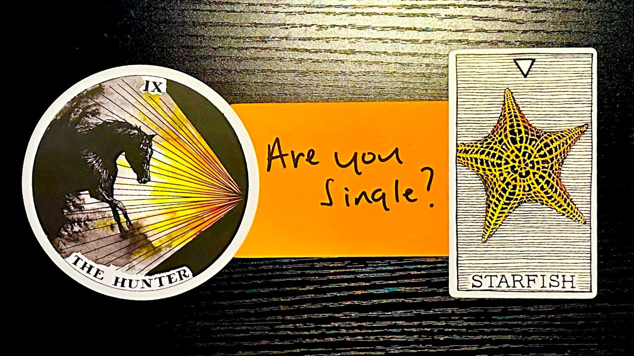 ✨ SINGLES ✨ What’s coming NEXT in love 🔮🫶