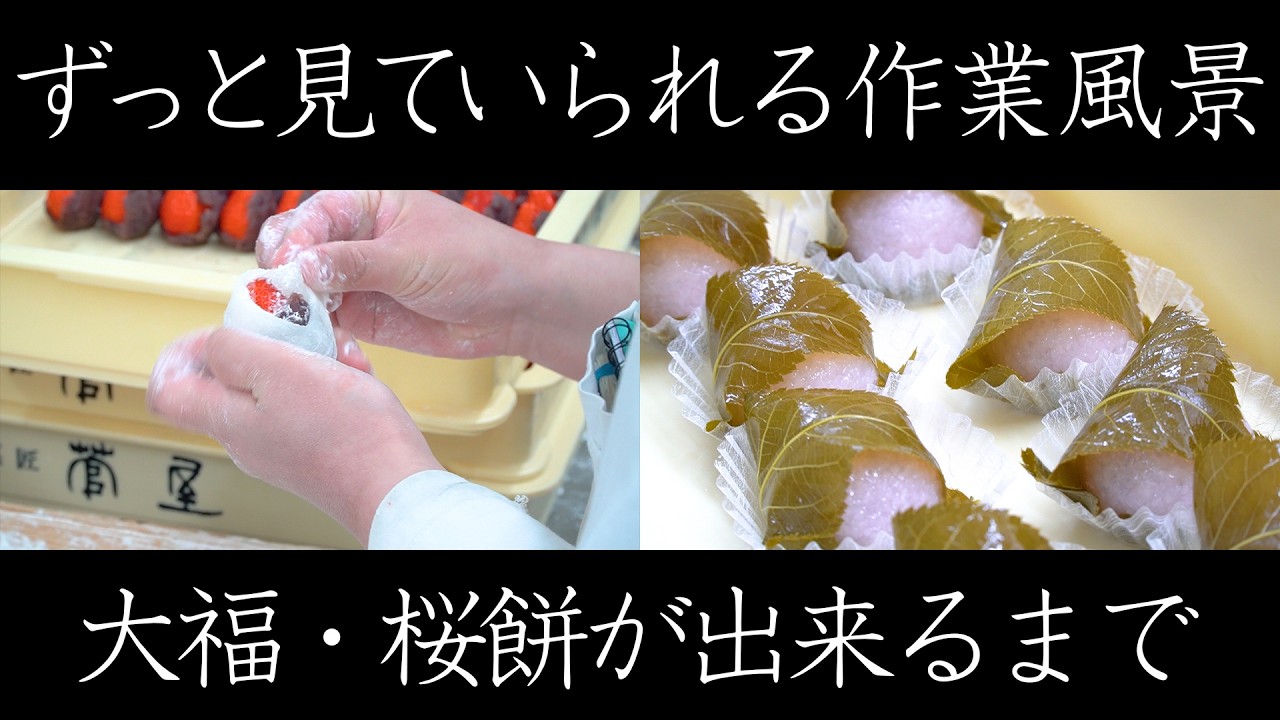 ふわもち食感に感動！老舗「寶菓匠 菅屋」の大福＆桜餅の秘密 【料理王国】【和菓子職人】The Secrets of Japanese Sweets Daifuku & Sakura Mochi