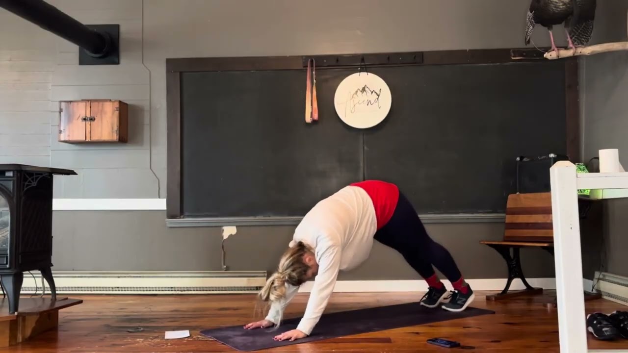 Stretching & Mobility