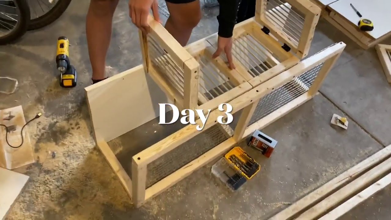 Racing Pigeons - Nesting Boxes Built 😓