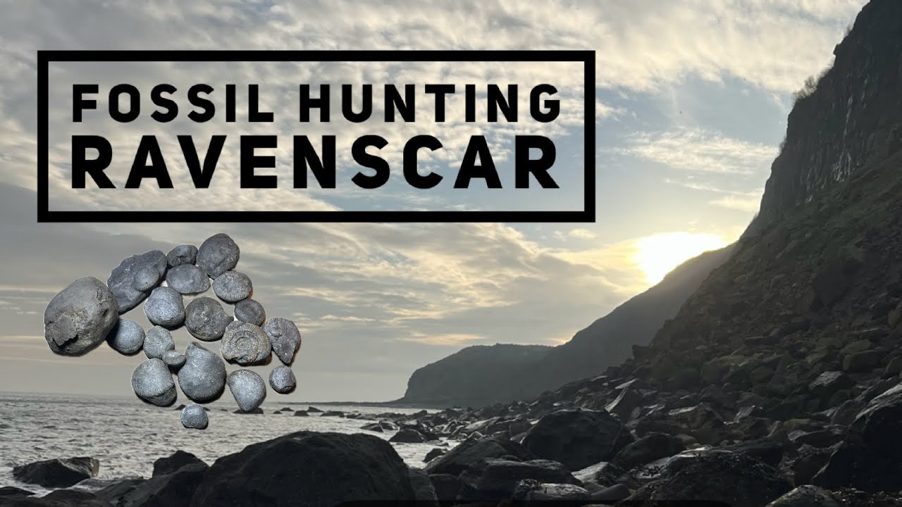 First fossil hunt of 2026! Join me as I hunt for fossils on the Yorkshire Jurassic Coast Ravenscar! 