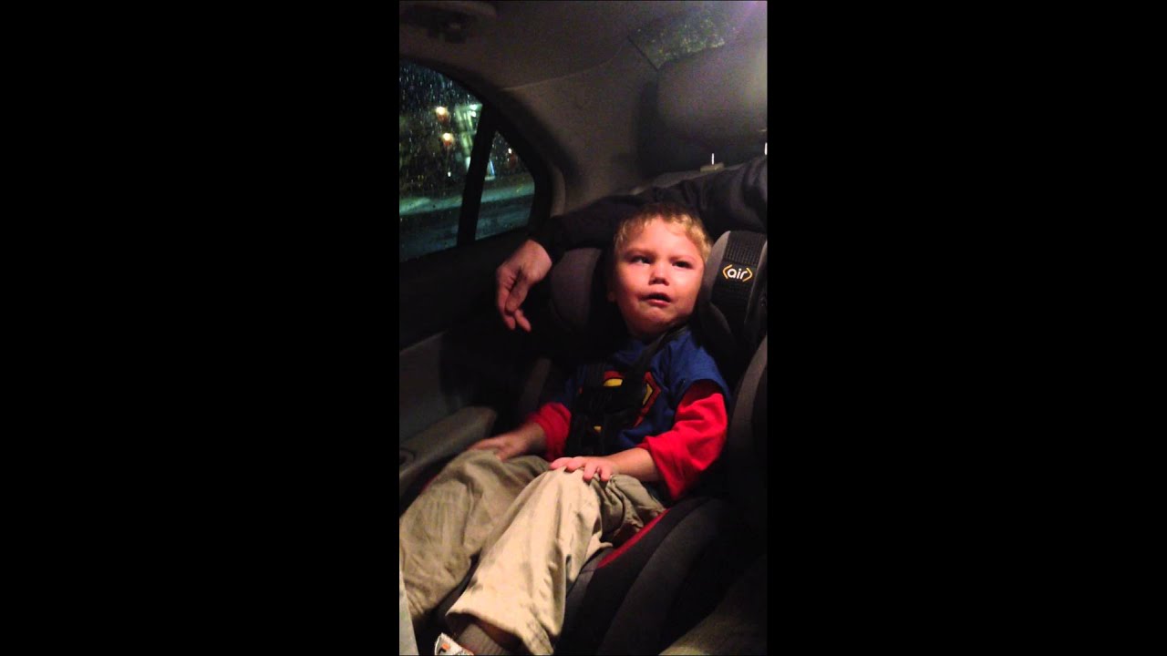 Leo's Car Seat fit