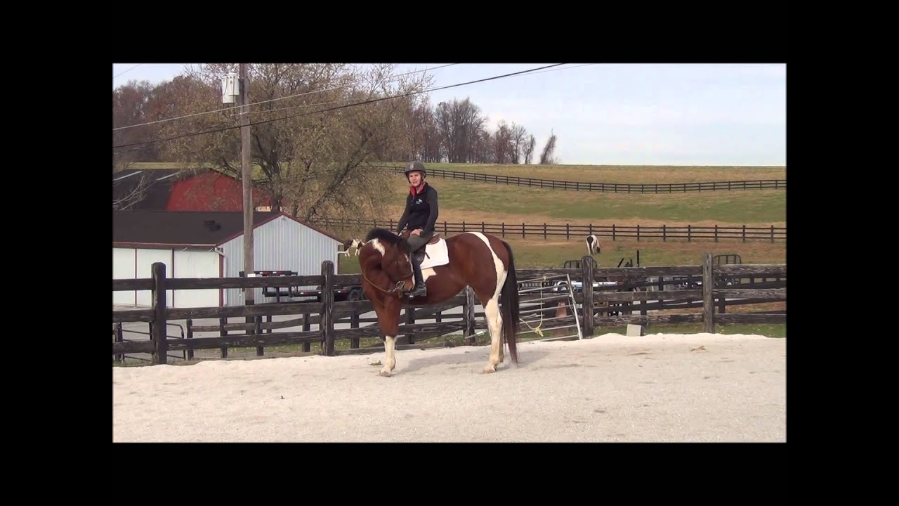 Riding a Nervous Horse
