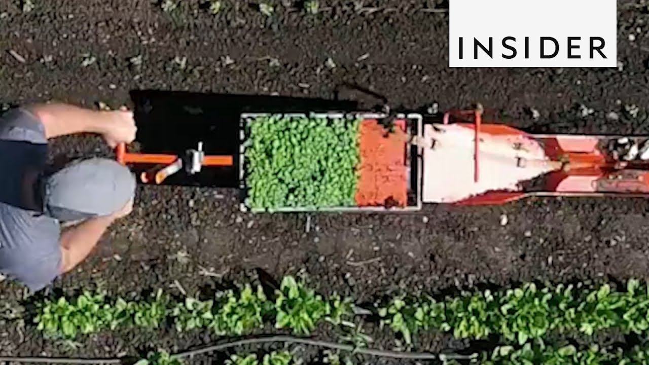 Machine Makes Planting a Breeze