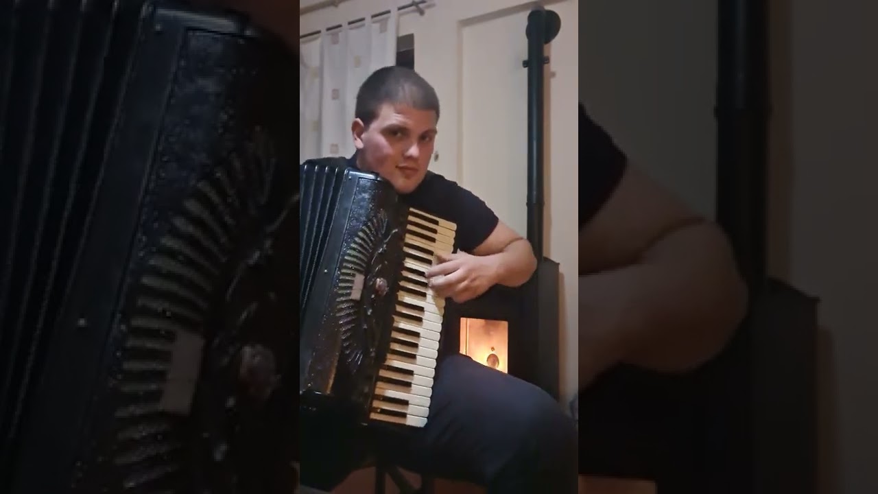 Harmonikaš za sve vrste svečanosti,poznaju me i selo i grad,Matej Perko
