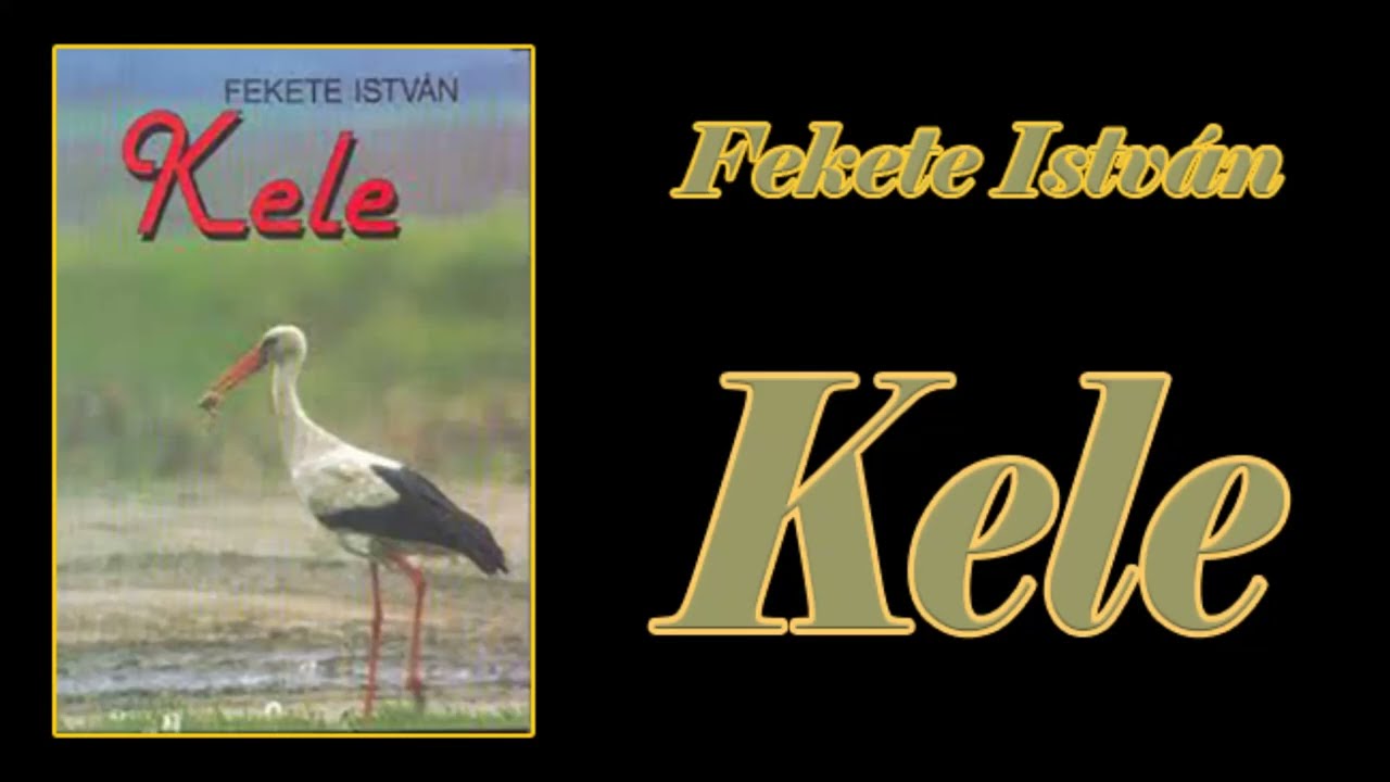 Fekete Istv&aacute;n  -   Kele  -  adapt&aacute;ci&oacute;