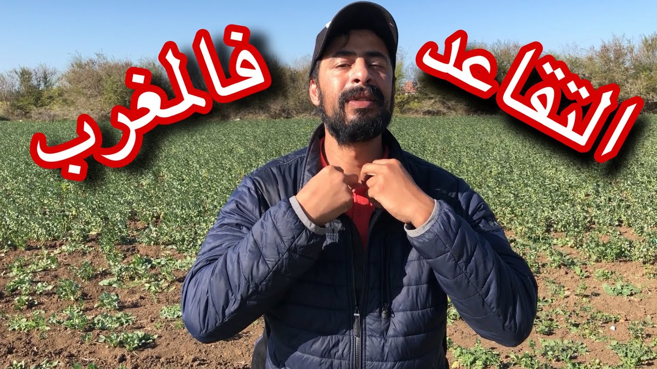 التقاعد في المغرب - 🤣🤫
