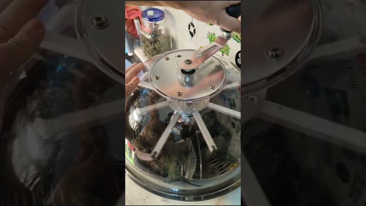 Melhor compra desnecess&aacute;ria que j&aacute; fiz para o meu cultivo 💚💪💪💚