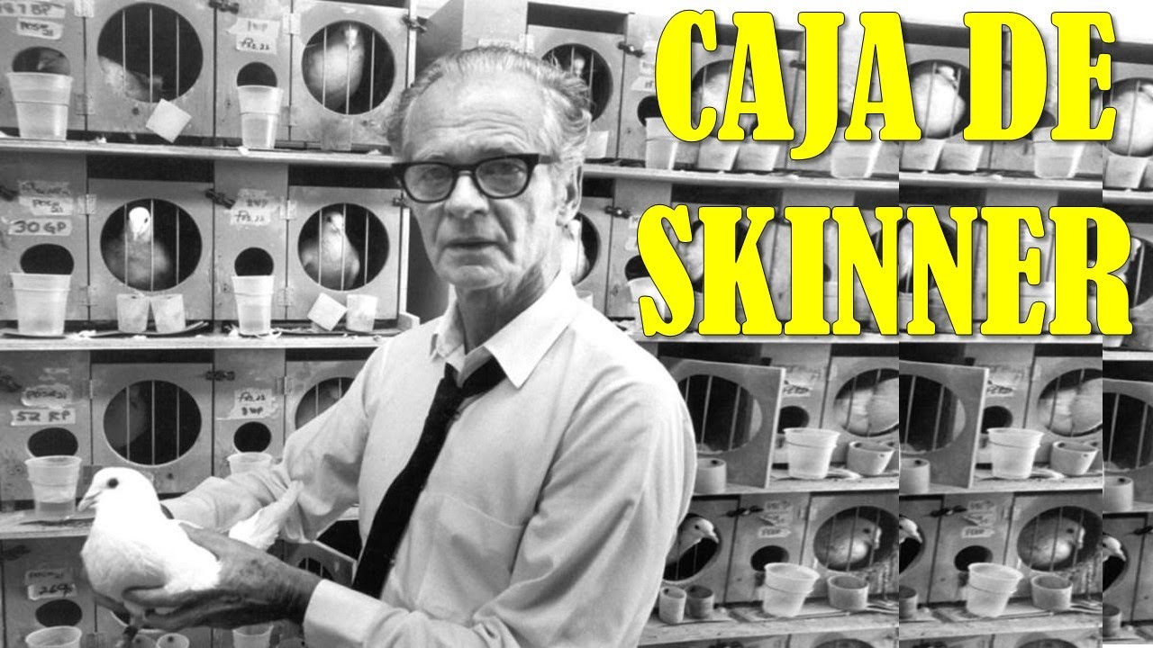 La Caja de Skinner | Los Experimentos M&aacute;s 