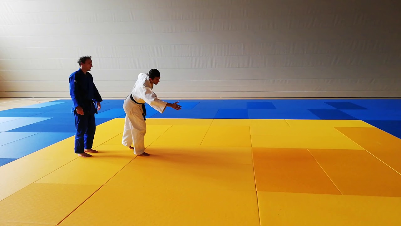 Nage-no-Kata Harai Goshi