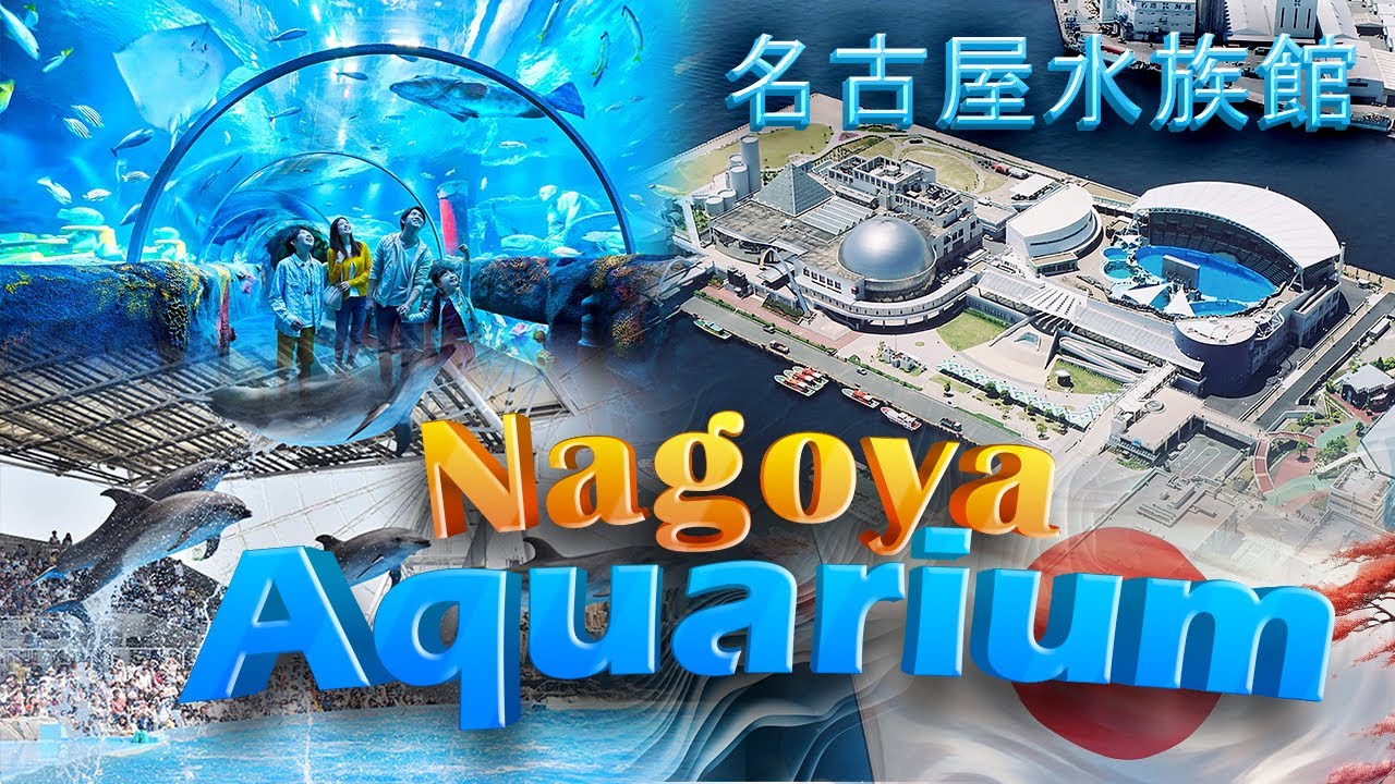 Exploring Nagoya Aquarium #japan |名古屋水族館
