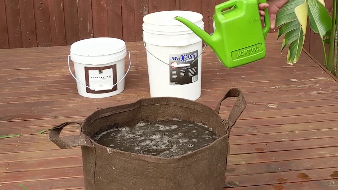 Getting started with living soil in containers