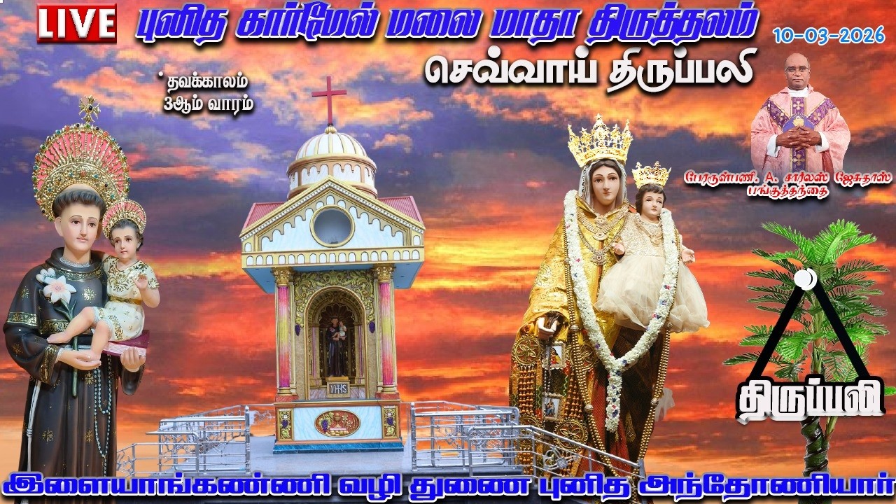 🔴LIVE |10|03|2026|செவ்வாய் திருப்பலி |புனித கார்மேல் மலை மாதா  |இளையாங்கண்ணி