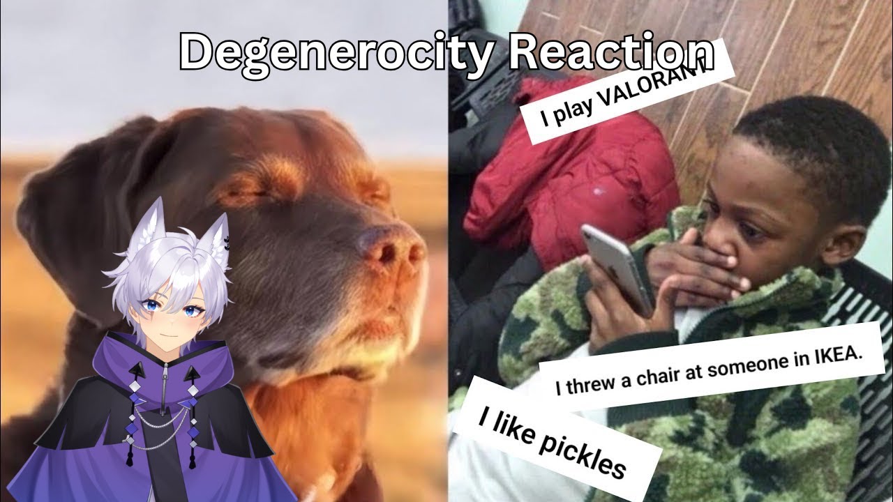 Reacting to your wild confessions [Degenerocity Reaction]