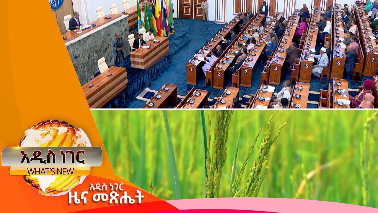 የገጠር መሬት አዋጅ እና የዘንድሮ የመኸር ምርት አሰባሰብ፣ህዳር 06,2016 What's New Nov 16,2023