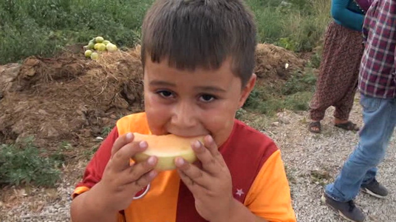 Muz desen muz değil kavun desen kavun