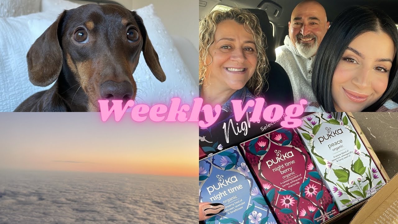 Weekly VLOG - a market visit, two trips interstate, lots of tea & a lack of flowers | Adele Maree