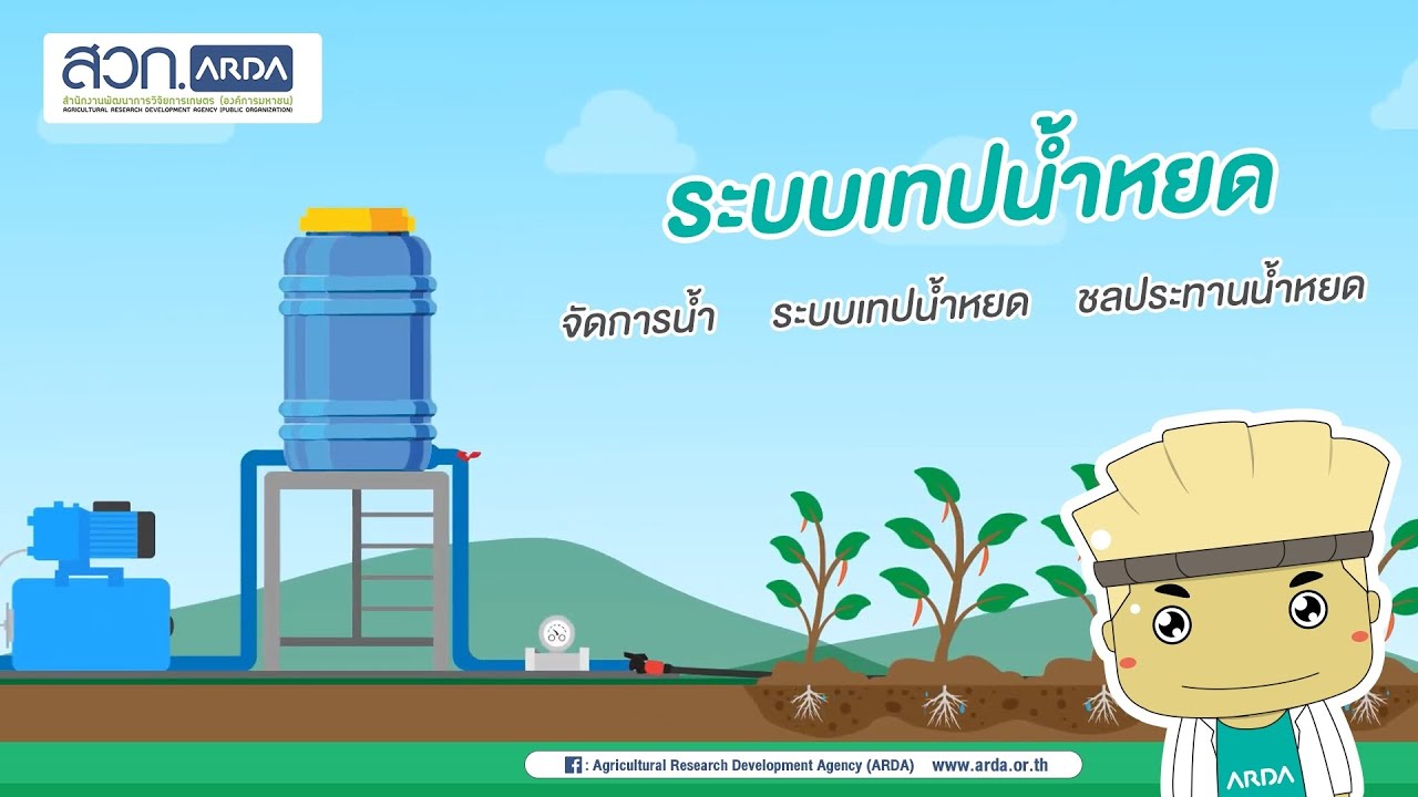 จัดการน้ำ ระบบเทปน้ำหยด ชลประทานการจัดการน้ําเพื่อการเกษตร