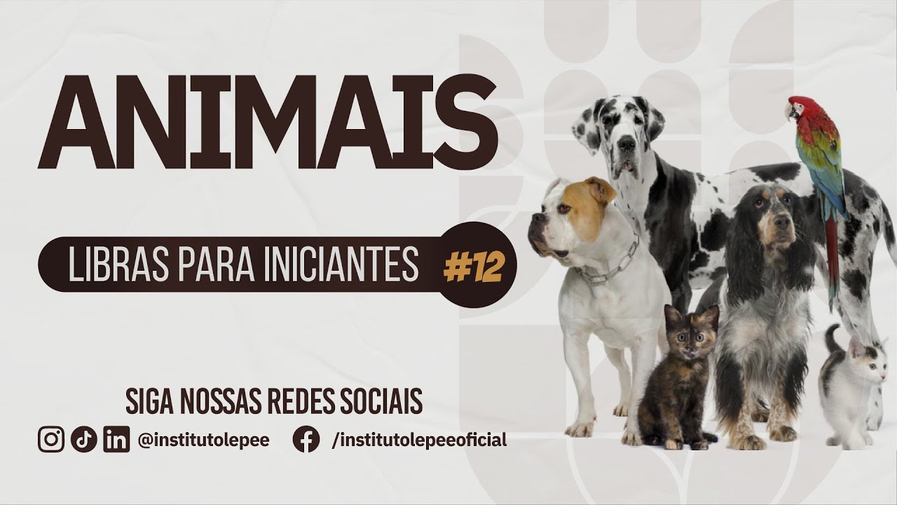 ANIMAIS EM LIBRAS  | LIBRAS PARA INICIANTES #12