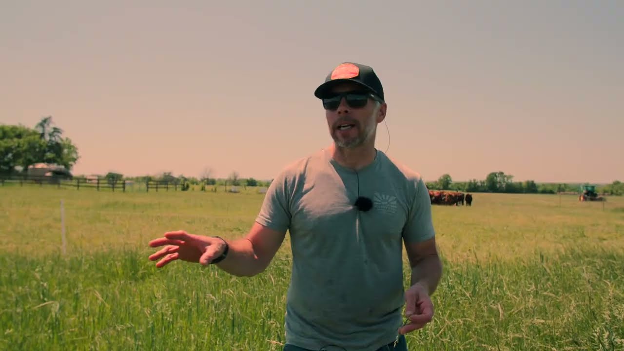 Becoming a Grass Farmer