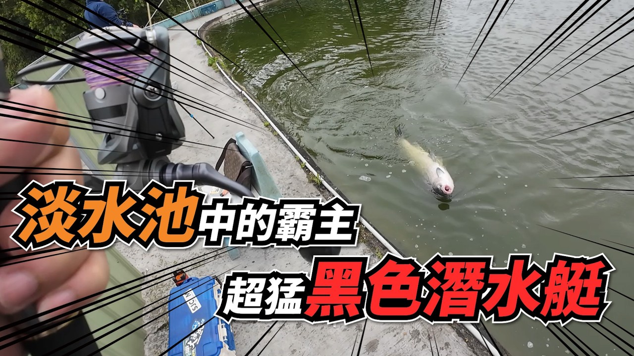 【台客去釣魚】300元就可以玩整天！軟竿細線挑戰淡水池魚中霸主之一 feat.聯合烏鰡池