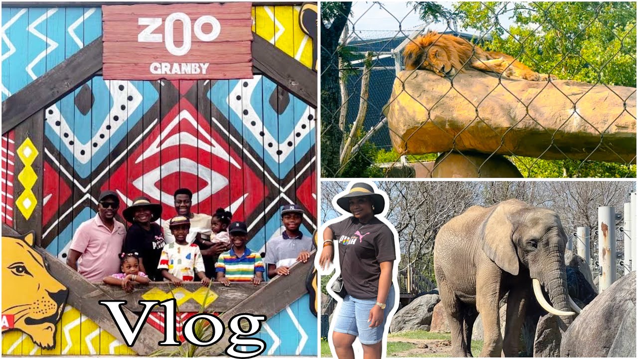UNE JOURNÉE AVEC NOUS AU ZOO GRANBY EN FAMILLE || Vraie vie de famille de 8 || Real Life 🤩🦁🦓🐘