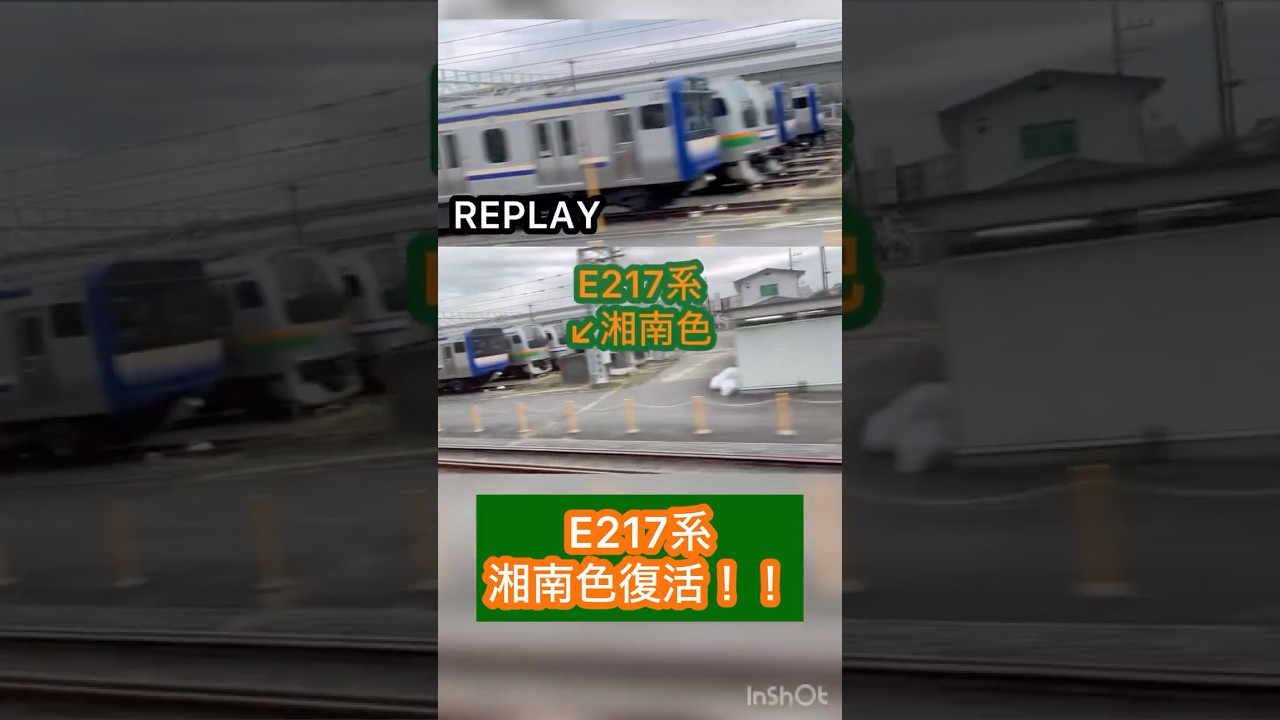 E217系湘南色復活！鎌倉車両センター観察 2024/3/7
