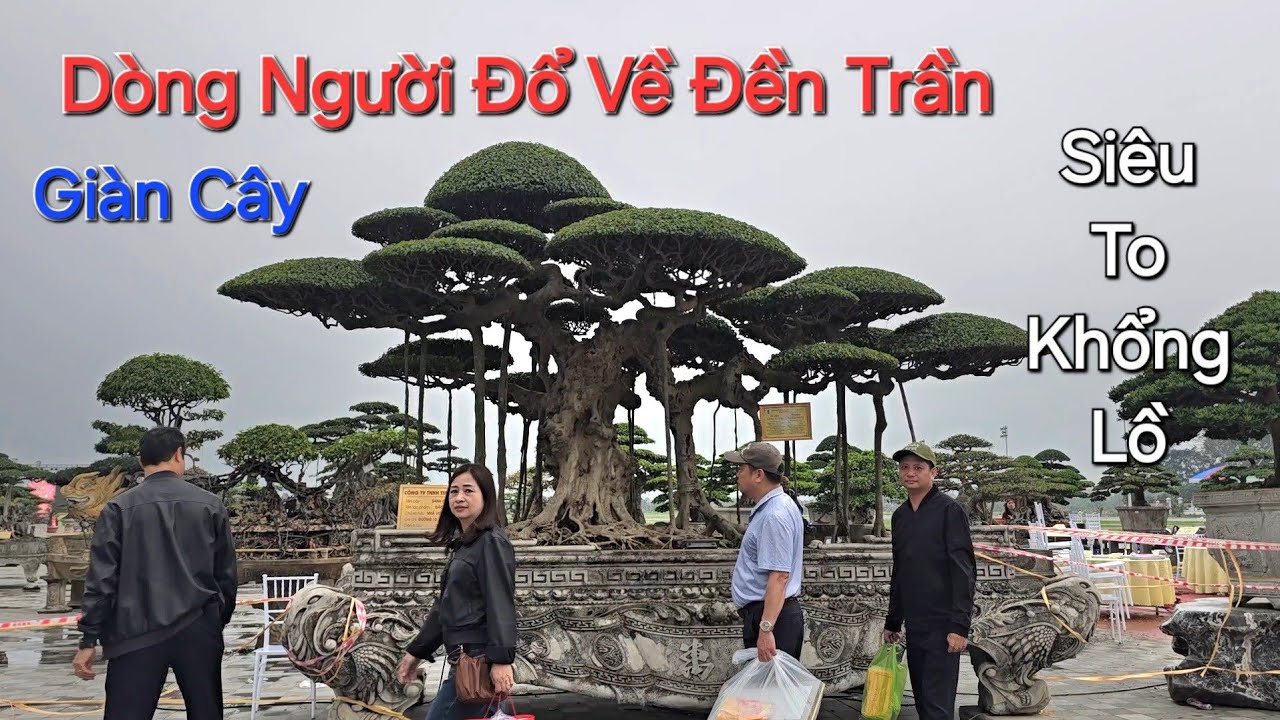 Tin Mới ! DÒNG NGƯỜI ĐỒ về TL KHAI ẤN ĐỀN TRẦN chiêm ngưỡng NHỮNG TP SIÊU TO KHỔNG LỒ .