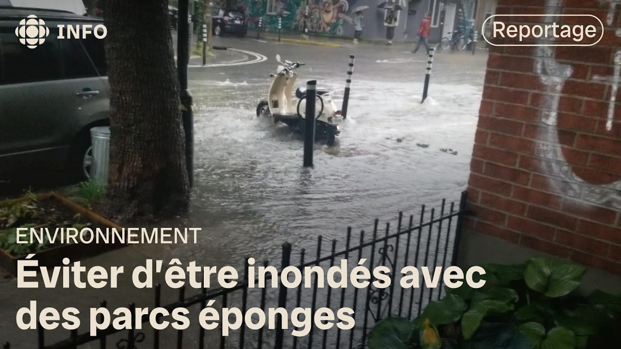 Des parcs éponges pour éviter des inondations