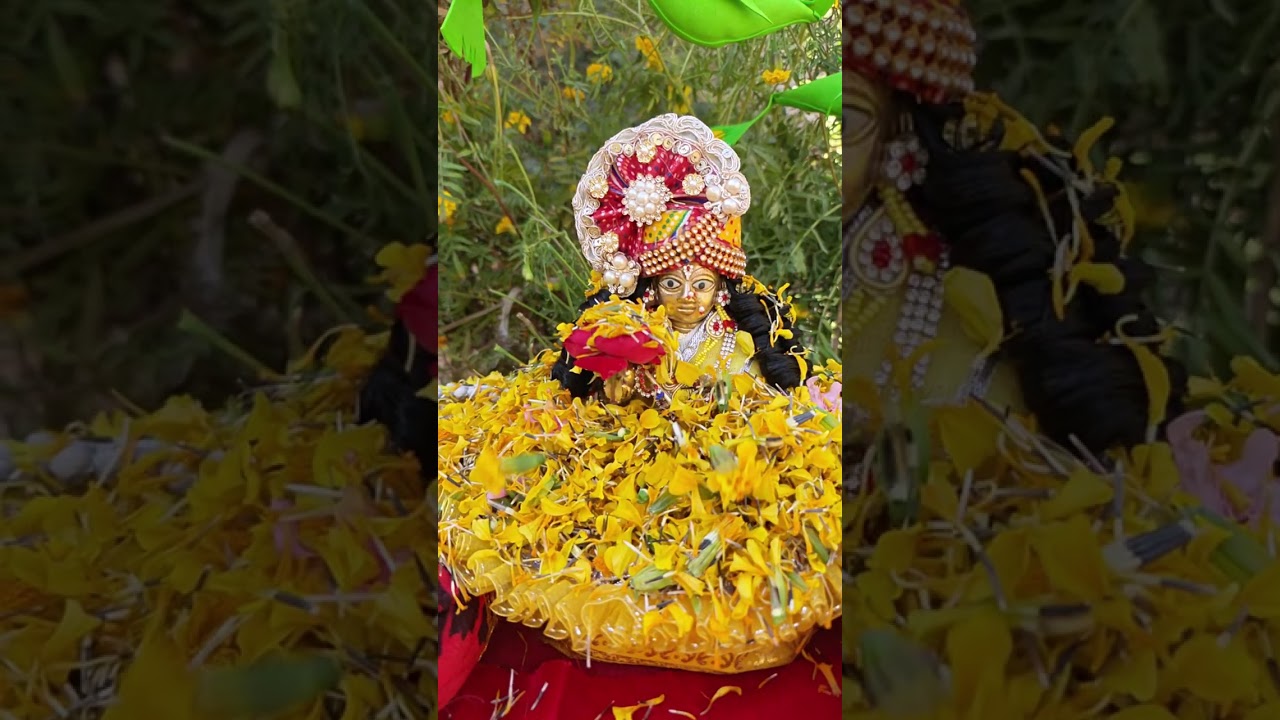 राधा रानी औरअष्ट सखियों सहित उपवन भ्रमण एवं फागोत्सव#krishna #viral #youtubeshorts #youtube#trending