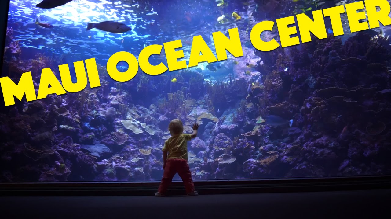 Maui Ocean Center - The Hawaiian Aquarium