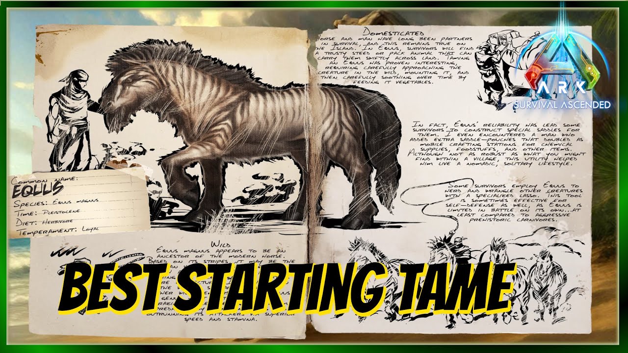 The Equus - Best Starting Tame - Ark Basics and Everything You Need to Know!