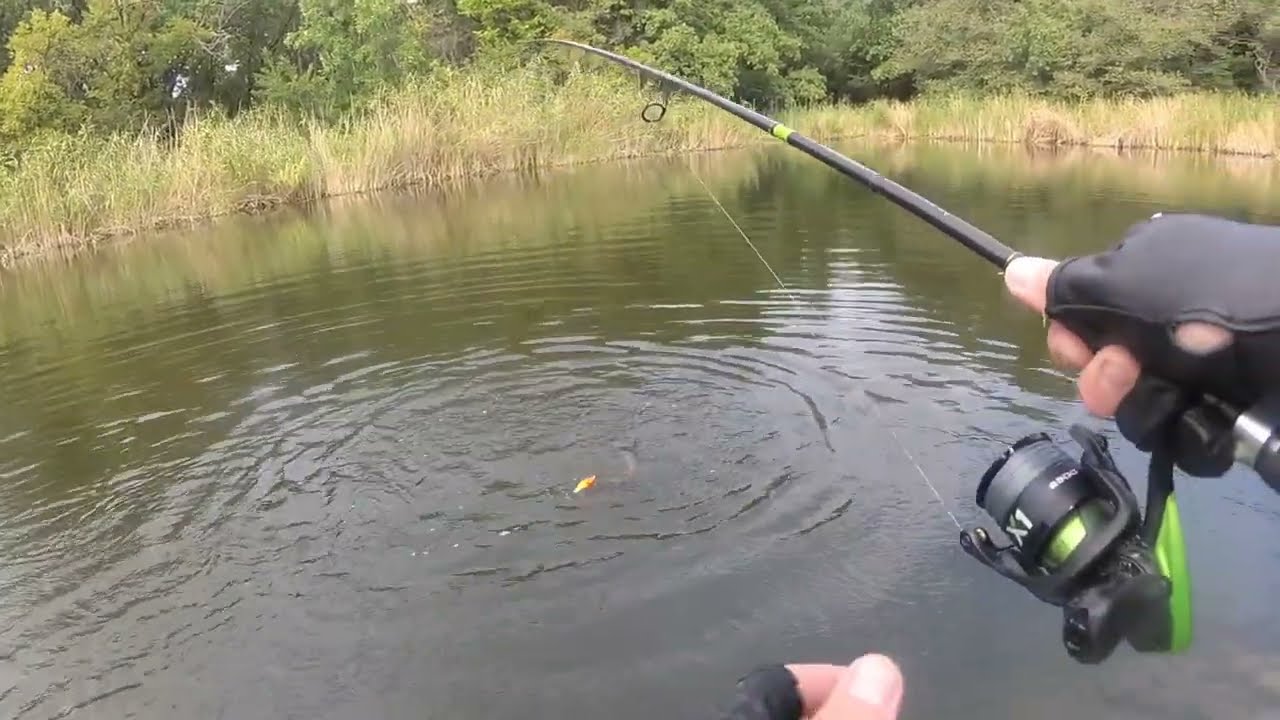 Ловля щуки на Salmo Slider в сентябре