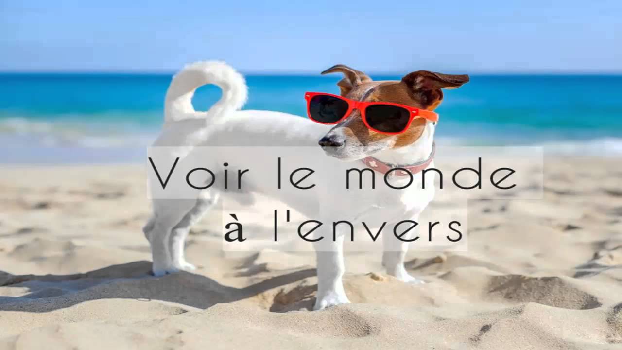 Apprendre à lire la clé de fa - 4ème séance 