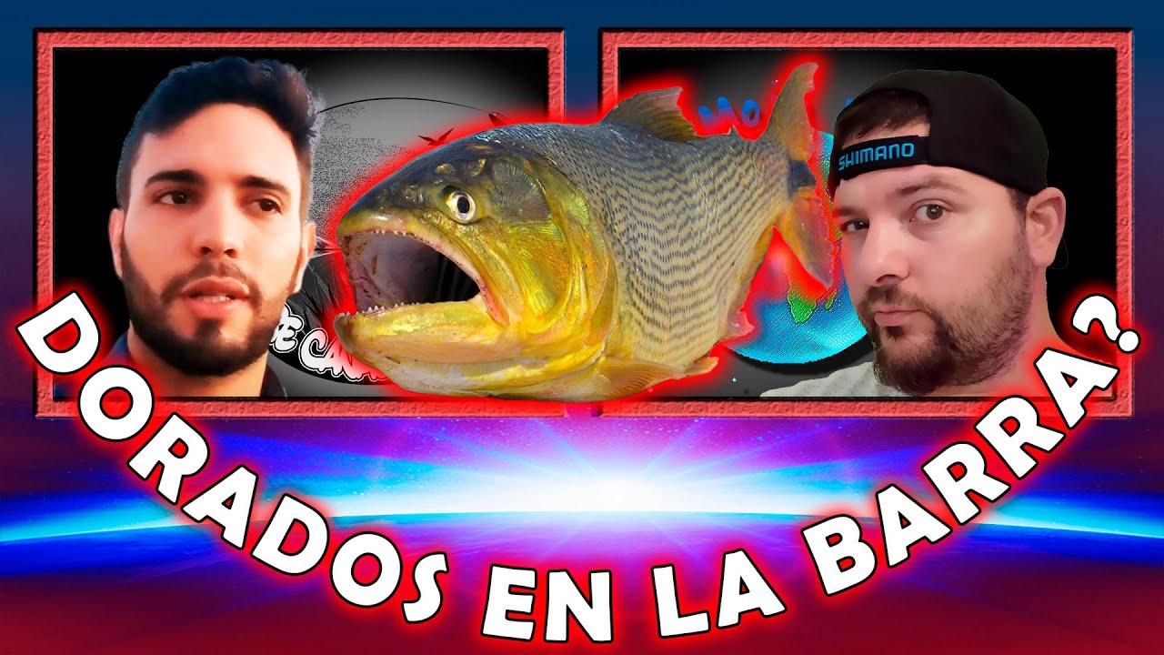 ✅SABIAS esto de la BARRA DE SANTA LUCIA? // Los Moja Piolas X Entre Ca&ntilde;as y Aparejos // Pesca