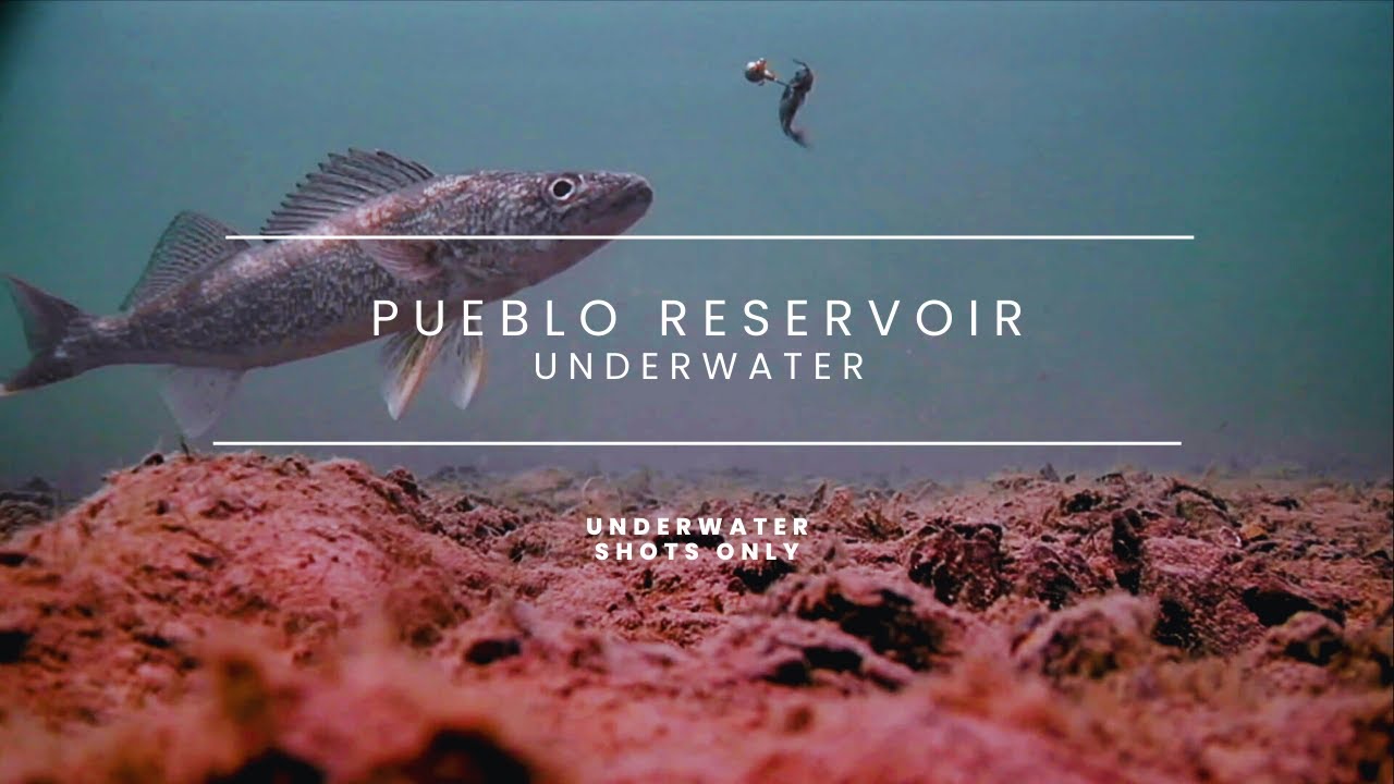 Pueblo reservoir UNDERWATER! Aqua Vu footage