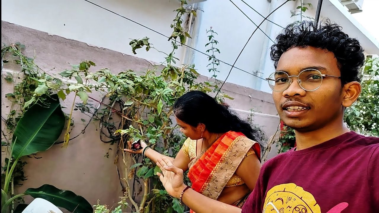 Amma has Hidden brinjal but why? 😅