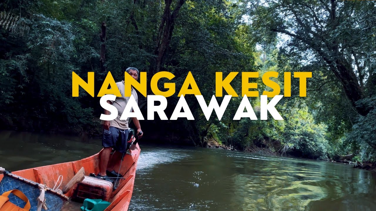 RareGEMS I Nanga Kesit, Sarawak