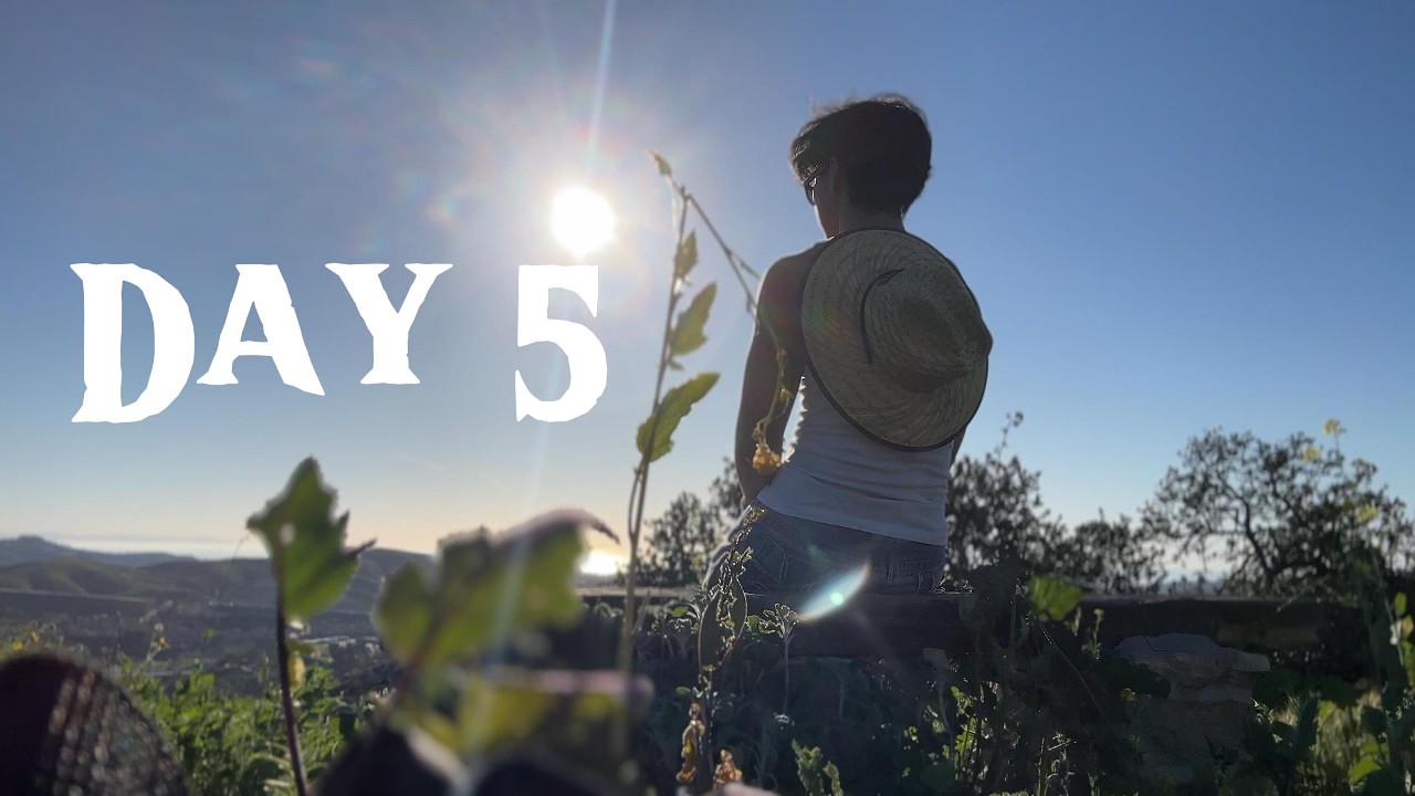 [Day 5] To and fro