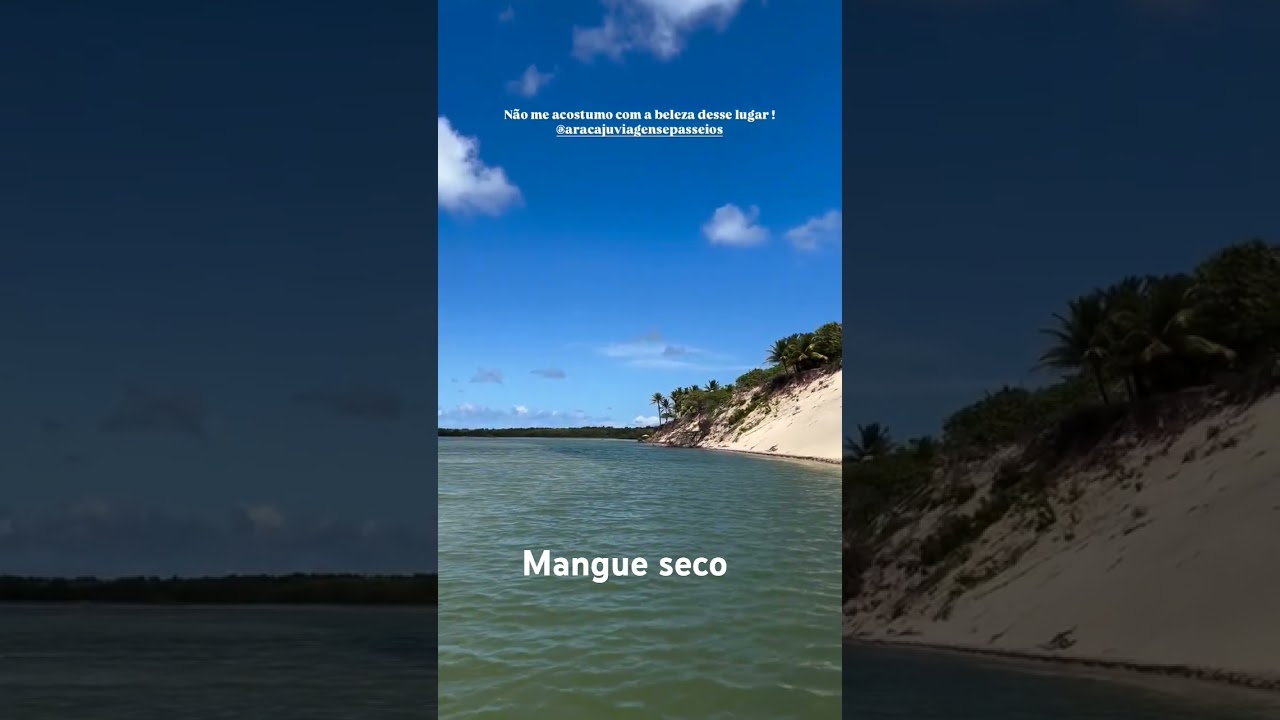 Mangue seco Bahia