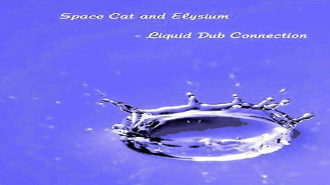 Space Cat and Elysium - Liquid Dub Connection
